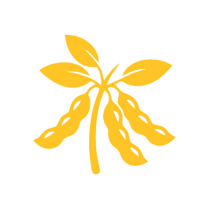 Soybeans